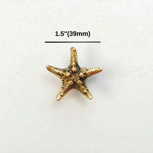 K&ouml;nnte beinhalten: Ein goldfarbener Seestern-Anh&auml;nger mit strukturierter, noppiger Oberfl&auml;che und f&uuml;nf Armen. Das Objekt ist mit einer Gr&ouml;&szlig;enangabe von 39 mm versehen. Das Finish weist dunkle, vertiefte Bereiche auf, die die detaillierte Textur betonen.