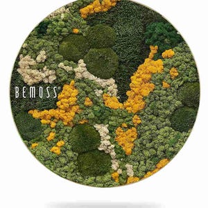Moss art - BEMOSS® Circle - ORTHO Yellow