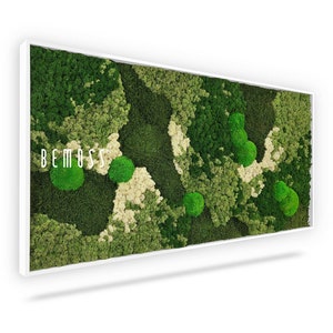 Arte de musgo - BEMOSS® - Ortho Natural -