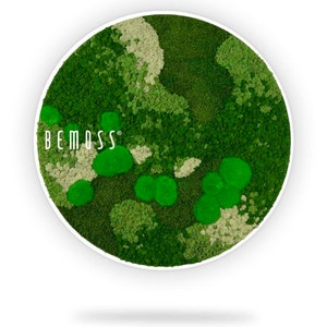 Moss art - BEMOSS® - circle ORTHO natural -