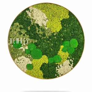 Moss art - BEMOSS® - circle ORTHO spring -