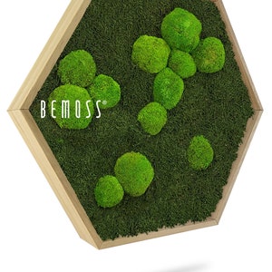 Moss art - BEMOSS® - HEXAGON - Flatmoss&Bolmoss , Light green