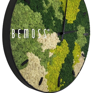 Moss Clocks - BEMOSS® - ORTHO , spring