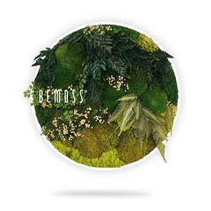 Moss art - BEMOSS® - Circle - Plants , Cortijo