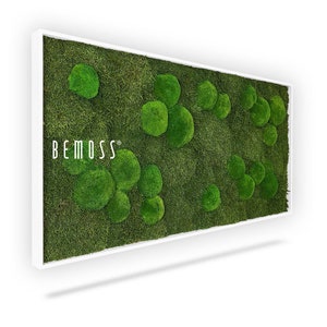 Moss art - BEMOSS® - Flatmoss&Bolmoss Natural Green -