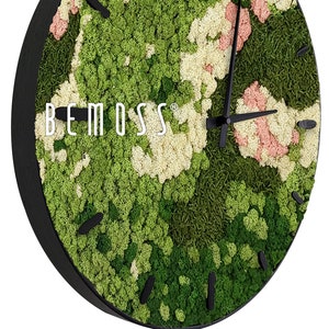 Moss Clocks - BEMOSS® - ORTHO , pink