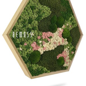 Moss art - BEMOSS® - HEXAGON - Ortho , pink