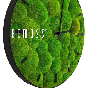 Moss Clocks - BEMOSS® - Bolmoss , Light green