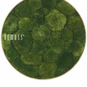 Moss art - BEMOSS® - Circle - Bolmoss , Natural green