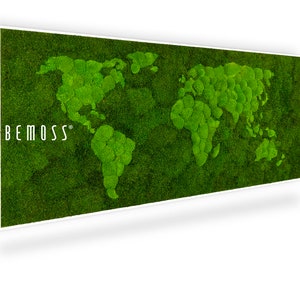 Moosbild Weltkarte Flatmoss&Bolmoss 70x32 inch - BEMOSS