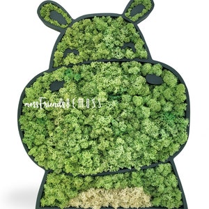 Moss Friends BEMOSS® - Hippo