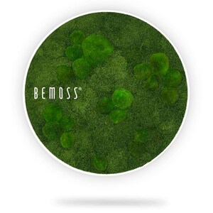 Moss art - BEMOSS® - Circle - Flatmoss&Bolmoss , Natural green