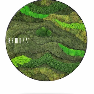 Moss art - BEMOSS® - Moss Circle ORTHO Tocon