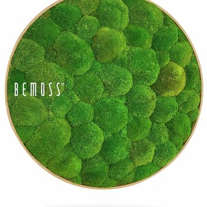 Moss art - BEMOSS® - Circle - Bolmoss , Light green