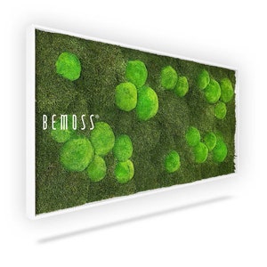 Moss art - BEMOSS® - Flatmoss&Bolmoss Light Green -