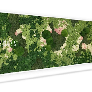 Moss art - BEMOSS® - Ortho Pink -