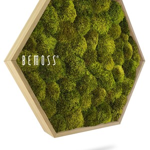 Moss art - BEMOSS® - HEXAGON - Siberian moss