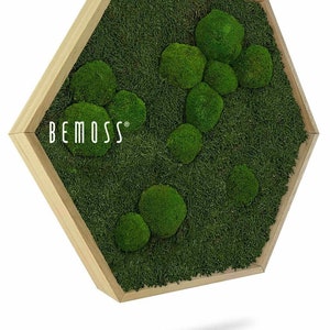 Moss art - BEMOSS® - HEXAGON - Flatmoss&Bolmoss , Natural green