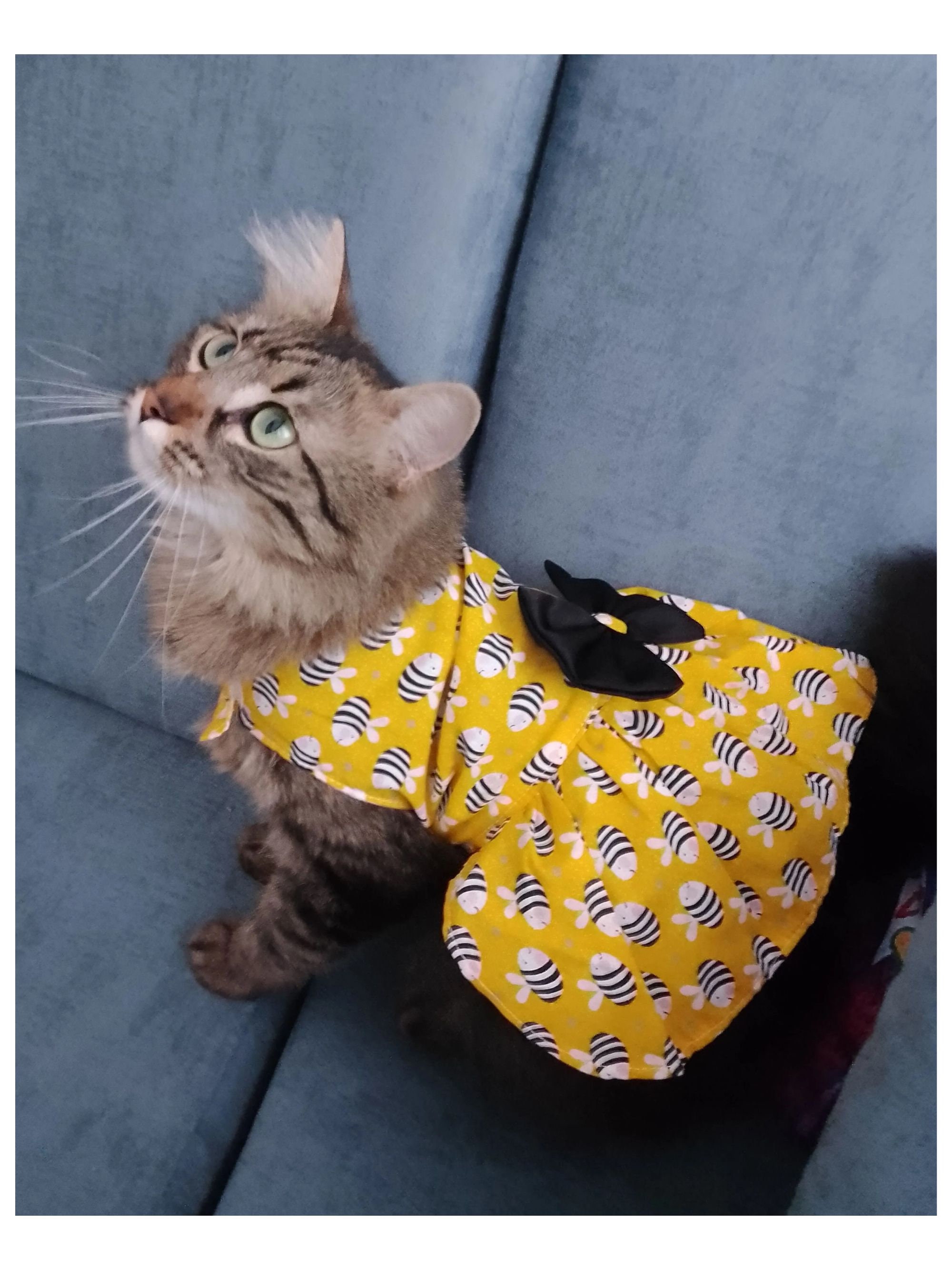 Bee Pattern Yellow Cat or Dog Clothes Dress | Kitten Fashion