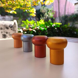 May include: Four bottle stoppers in a row, painted in brown, grey, red, and gold. The stoppers have a rounded top and a cylindrical base. They are on a white surface. The background is blurred with greenery.