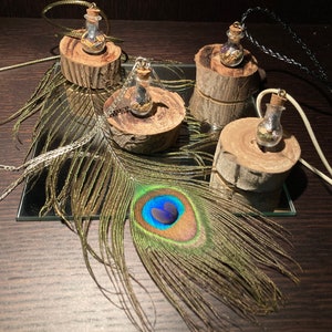 Lucky charm talisman amulet pendant protection from negative energies herbal gems witch bottle pendant