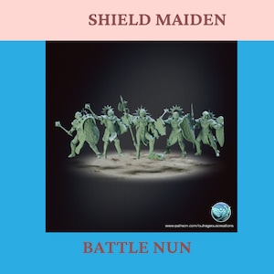 Shield Nun - Tabletop / Pathfinder / Dungeons & Dragons DnD / fantasy wargame