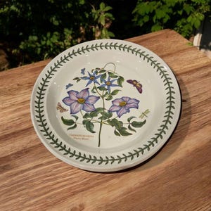 Portmeirion Botanic Garden ROYAL HIGHNESS 10 "Teller mit Clematis Florida, Jungfrauen Bowers Blumenmuster