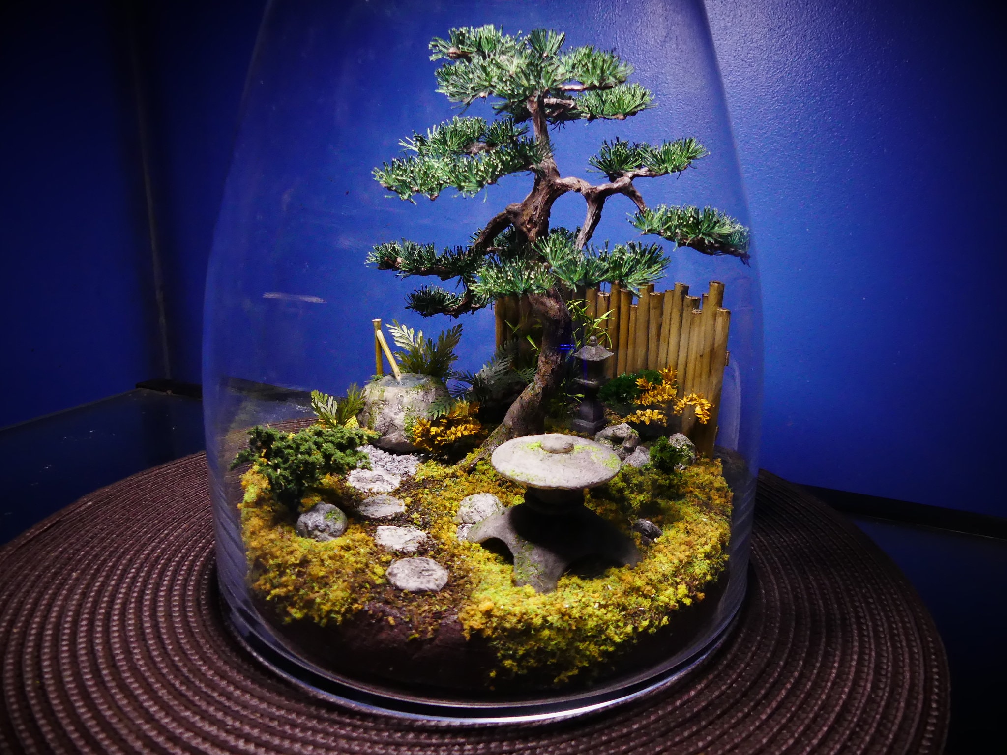 The Little Tree Terrarium Kit Bamboo Lid by Green Mountain Moss