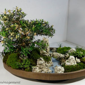 Może przedstawiać: Miniaturowy krajobraz z małym zielonym drzewem, skałami, mchem i strumieniem. Krajobraz znajduje się w okrągłym brązowym pojemniku. Na dole obrazu widoczny jest tekst "exemple d'aménagement".
