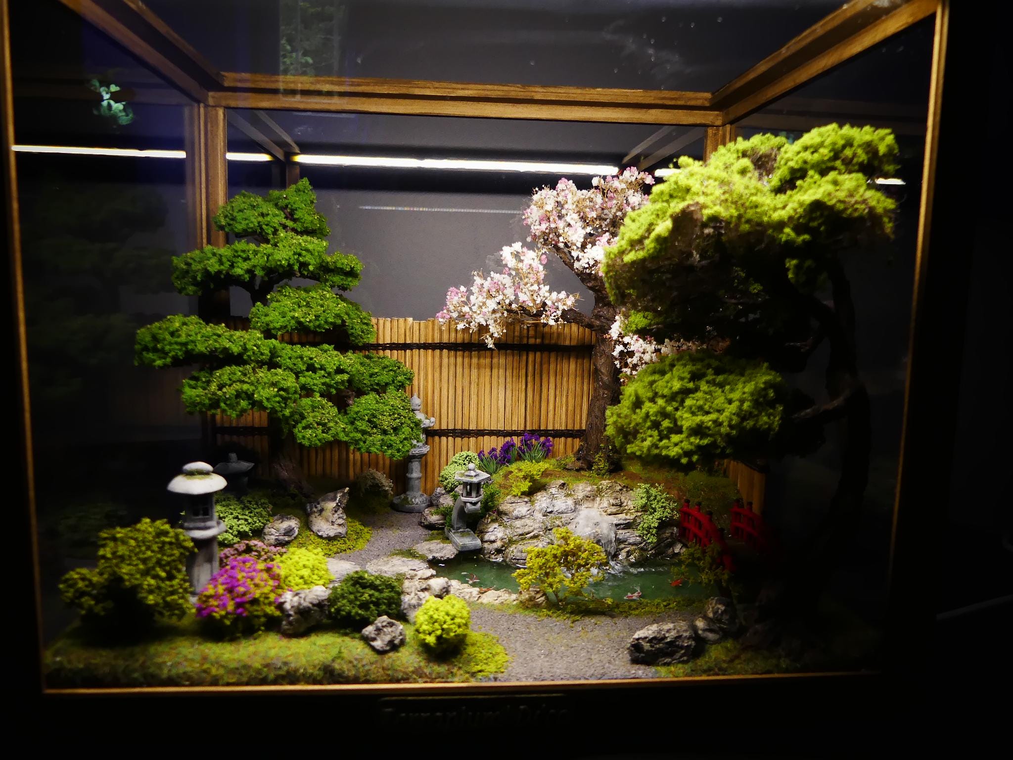 Japanese Zen garden in a wooden and glass terrarium with lighting