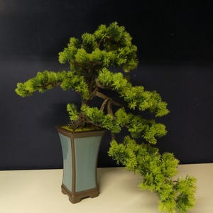 Op de afbeelding: Een groene bonsaiboom met een dikke stam en vele takken, geplant in een blauwe en bruine keramische pot. De boom is in een klassieke bonsai-stijl met een gebogen stam en overhangende takken.