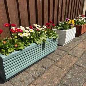 May include: A rectangular sage green wooden planter box filled with red and white daisy flowers. Behind it, a white wooden planter box contains purple and yellow pansies, and a brown wooden planter box holds white flowers with red centres.