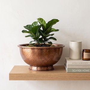 Peut inclure: Un bol en cuivre martelé avec une base sur pied contenant une plante verte de type figuier lyre. À côté du bol se trouvent un cylindre en céramique blanche et une bougie en verre brun posés sur trois livres intitulés Design & Serenity et Scandi Home.