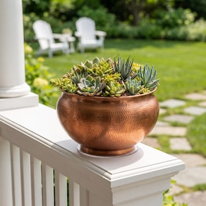 Peut inclure: Un bol de plantation en cuivre martelé, rempli d'une variété de plantes succulentes vertes et vert clair. Le récipient métallique présente une surface texturée et alvéolée, reposant sur une large base circulaire au fini réfléchissant.