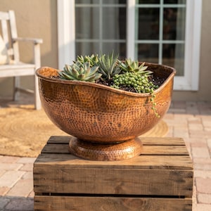 Peut inclure: Un grand bol en cuivre martelé de forme ronde avec une base sur pied, rempli de diverses plantes succulentes vertes, dont une haworthia épineuse et une plante collier de perles retombante, présentant une finition métallique texturée.