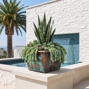 Peut inclure: Un bac à plantes carré en cuivre patiné avec une finition vert-de-gris, rempli d'une variété de plantes succulentes, dont une sansevieria centrale haute et des sédums rampants, formant un arrangement dense au feuillage vert texturé.