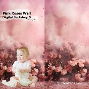 Puede incluir: Un telón de fondo digital que presenta una pared rosa con un arreglo floral de rosas rosas. El telón de fondo está diseñado para la fotografía e incluye el texto "Pink Roses Wall Digital Backdrop 5" y "Backdrops Bliss".