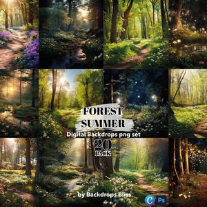 Superposition de png forêt fond png verdure toile de fond forêt enchantée toile de fond printemps fond paysage art numérique extérieur toile de fond arbre