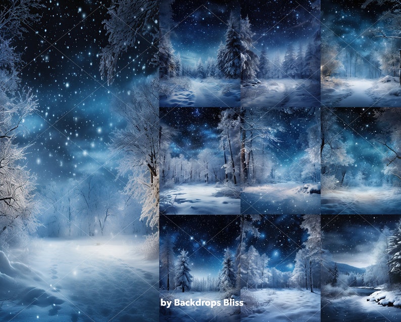 Winter Digital Backdrop Winter Wonderland Digital Backdrop Forest Snow ...