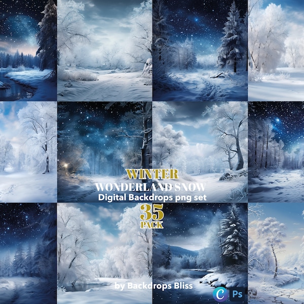 Winter digitaler Hintergrund Winter Wunderland digitaler Hintergrund Wald Schnee Hintergrund Winter Hintergrund Winter Mutterschaft digitaler Hintergrund Schnee