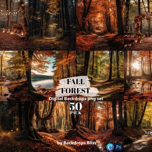 Puede incluir: Un conjunto de 50 fondos digitales de bosque de otoño. Las imágenes presentan una variedad de colores otoñales, incluyendo rojo, naranja, amarillo y marrón. Las imágenes son perfectas para usar en arte digital, diseño gráfico y fotografía.