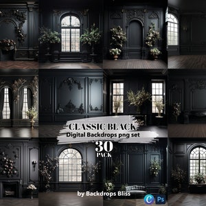 Pode incluir: Um conjunto de 30 cenários digitais com designs de interiores clássicos em preto e branco com molduras ornamentadas, lareiras e janelas. Os cenários são perfeitos para fotógrafos e designers gráficos que procuram criar imagens elegantes e sofisticadas.