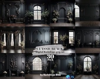 May include: A set of 30 digital backdrops featuring classic black and white interior designs with ornate moldings, fireplaces, and windows. The backdrops are perfect for photographers and graphic designers looking to create elegant and sophisticated images.