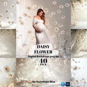White floral maternity digital backdrop maternity backdrop digital daisy overlay studio floral texture overlay wedding photoshop photography
