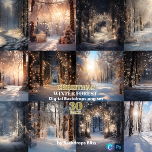 Weihnachten digitaler Hintergrund Wald Schnee Weihnachten digitaler Hintergrund Winterwald Hintergrund Familie Weihnachtskarte Geschenk Hintergrund Weihnachten png