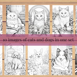 Pet Coloring Page, Printable Pet Coloring Pages, Pet Adult Coloring Pages, Pet Adult Coloring, Cute Pet Coloring, Pet Coloring Book Pages