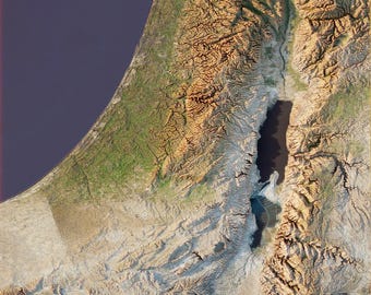 Israel 3D Topography Elevation Map - 3D Render - Digital Art