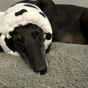 May include: A black dog wearing a white and black cow print sleep mask is lying on a grey fluffy bed.