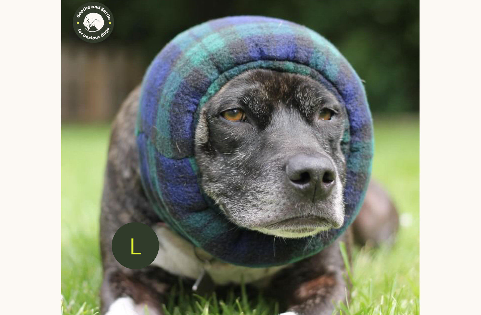 Dog Ear Protection for Loud Noises Anxiety Fireworks BLACKWATCH