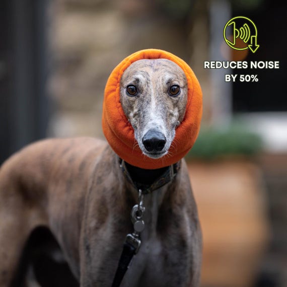 Dog Ear Protection for Loud Noises Anxiety Fireworks Neon Orange